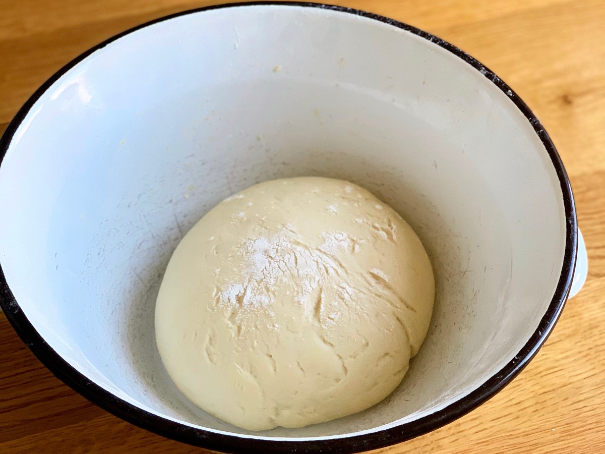 Germteig für Pizza